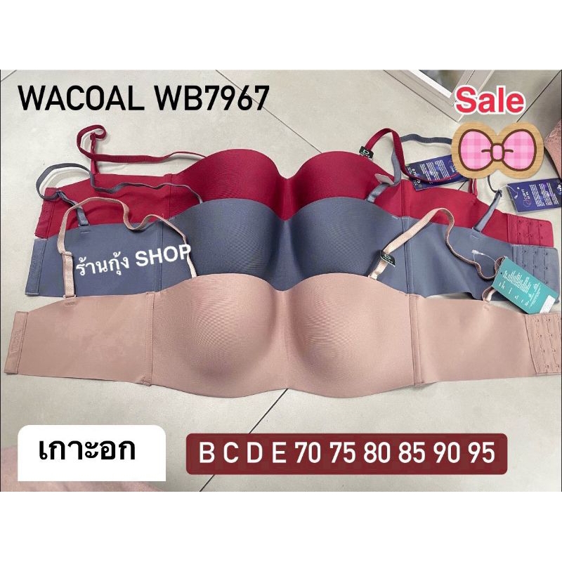 Wacoal Curve diva เกาะอกรุ่น WB7967/WQ1848