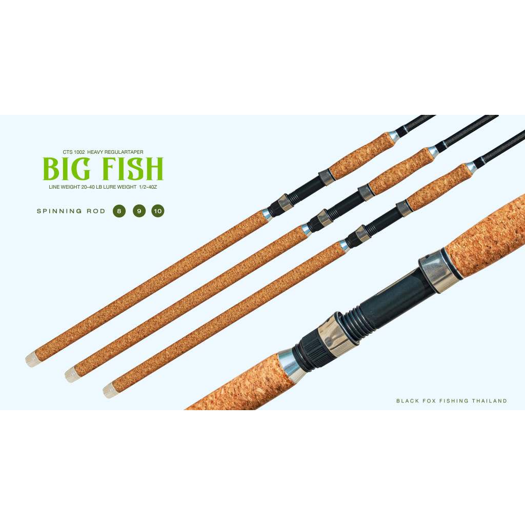 คันหน้าดิน BIG-FISH  (บิ๊กฟิช) เวทคัน 20-40 lb.