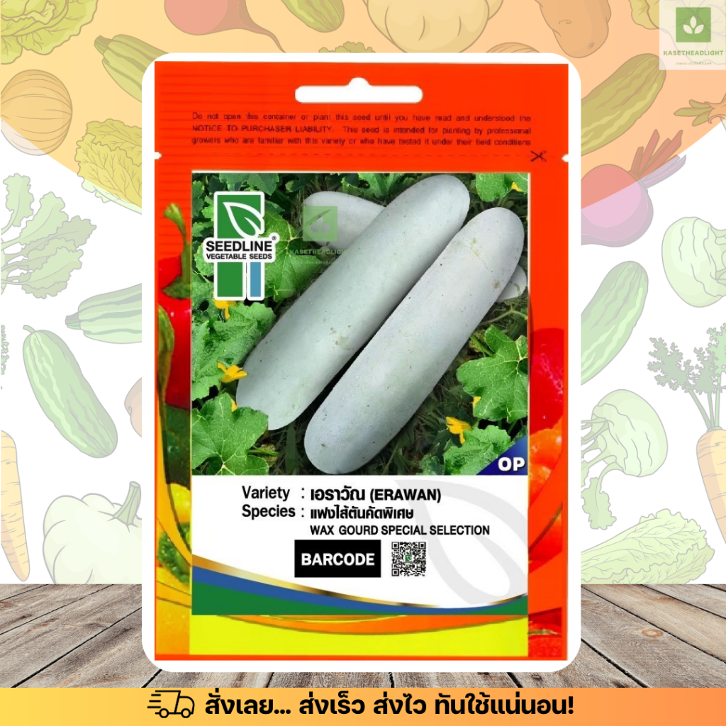 SL แฟงไส้ตัน คัดพิเศษ พันธุ์ เอราวัณ Wax gourd special selection