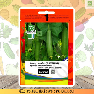 SL บวบหอม เทพธิดา เมล็ดพันธุ์บวบหอม คัดพิเศษ