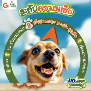 Get Well ปลานิ่มผูกทรงกระดูก ขนมหมา ขนมแมว ไม่ปรุงรส แพ้ไก่ แพ้แป้ง กินได้