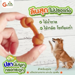 Get Well ปลานิ่มผูกทรงกระดูก ขนมหมา ขนมแมว ไม่ปรุงรส แพ้ไก่ แพ้แป้ง กินได้