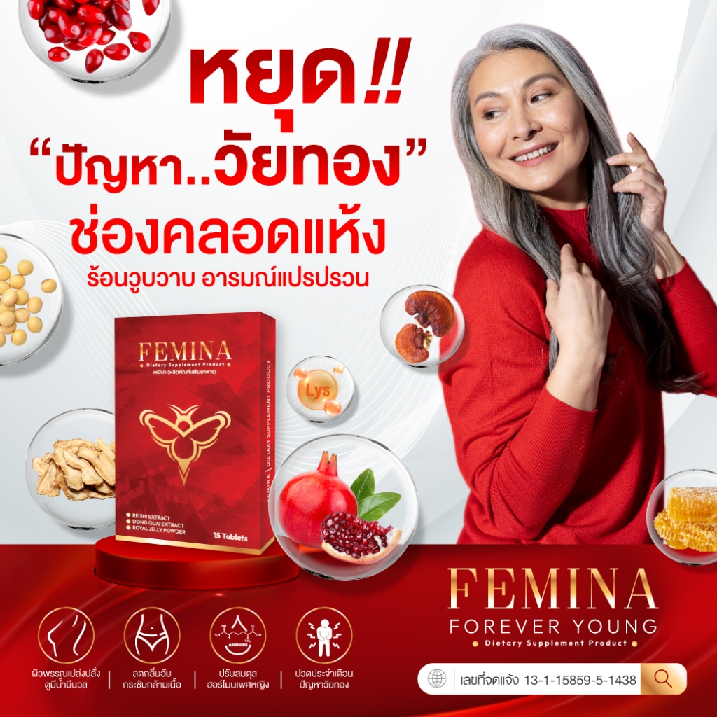 (10 กล่อง) เซ็ตสุดคุ้ม FEMINA • เฟมีน่า บำรุงภายในฟิต รูปที่ 2