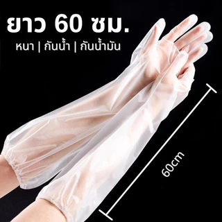 ถุงมือพลาสติก ถุงมือคลุมศอก ยาว 60 ซม. (10 ชิ้น/แพ็ค ) แบบยาวพิเศษ ใช้แล้วทิ้ง เหนียว ยืดหยุ่นสูง Long Glove