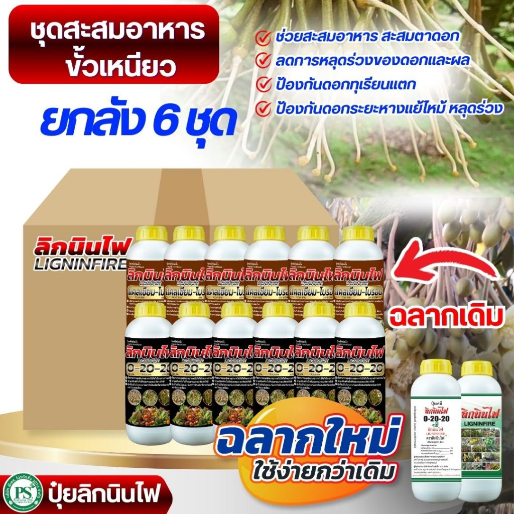 ยกลัง 6 ชุด ปุ๋ยลิกนินไฟ ชุดสะสมอาหารขั้้วเหนียว (0-20-20+แคลเซียมโบรอน)