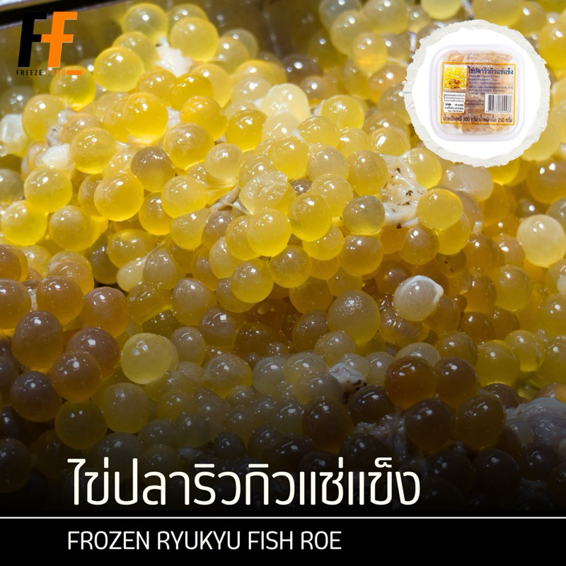 ไข่ปลาริวกิวแช่แข็ง 300 กรัม | FROZEN RYUKYU FISH ROE