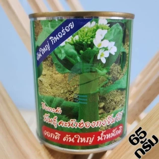 เมล็ดพันธุ์ผัก โหระพา คะน้าฮ่องกง กะเพรา เขียวน้อย คะน้าเห็ดหอม คะน้า แมงลัก ขึ้นฉ่าย ผักบุ้ง ผักกาดหอม กวางตุ้ง ผักชี