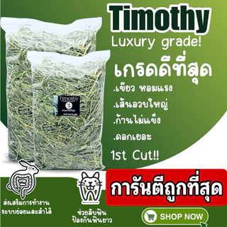 ลดแรง1วัน ด่วน‼️‼️ ทิมโมธี 1กก Timothy คัท1 ใบเยอะ ดอกเยอะ