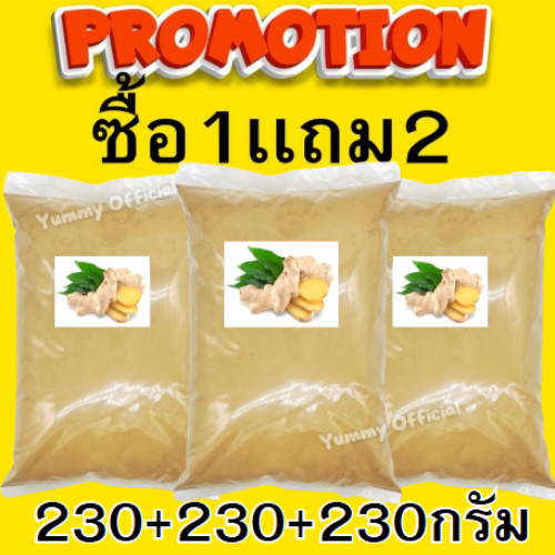 💥ซื้อ1แถม2💥 ขิงผง (ground ginger) ชงดื่มหรือปรุงในอาหาร ไม่ผสมน้ำตาล จากขิงแก่สด​คุณภาพดี ไม่มีสารปรุงแต่ง ออร์แกนิค100%