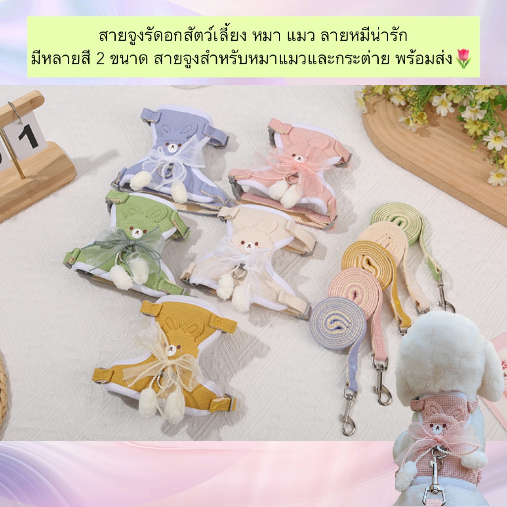 AL-500 สายจูงรัดอกสัตว์เลี้ยง หมา แมว ลายหมีน่ารัก มีหลายสี 2 ขนาด สายจูงสำหรับหมาแมวและกระต่าย พร้อมส่ง