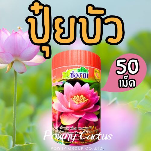 ปุ๋ยบัว ช่องาม กระปุก 50 เม็ด เร่งต้น เร่งใบ เร่งโต เร่งดอก เร่งสี