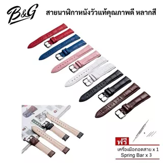 สายนาฬิกาหนังวัวแท้คุณภาพดี หลากสี แถมฟรี เครื่องมือถอดสายและสปริงบาร์ (สินค้าส่งไวพร้อมส่งจากไทย)