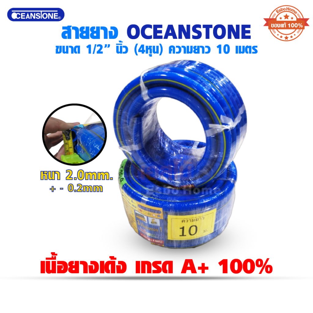 สายยางเด้ง สายยางรดน้ำ ขนาด 1/2 นิ้ว (4หุน) ยาว 10 เมตร OCEANSTONE