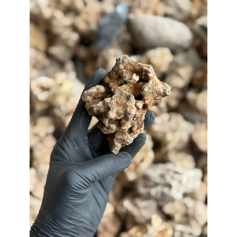 หินก้อนไซส์​เล็กจิ๋ว หินก้อนน้ำตาล สีธรรมชาติ ใช้ตกแต่งสวนถาดและตกแต่งบอนไซเพื่อความสวยงาม - รูปที่ 3