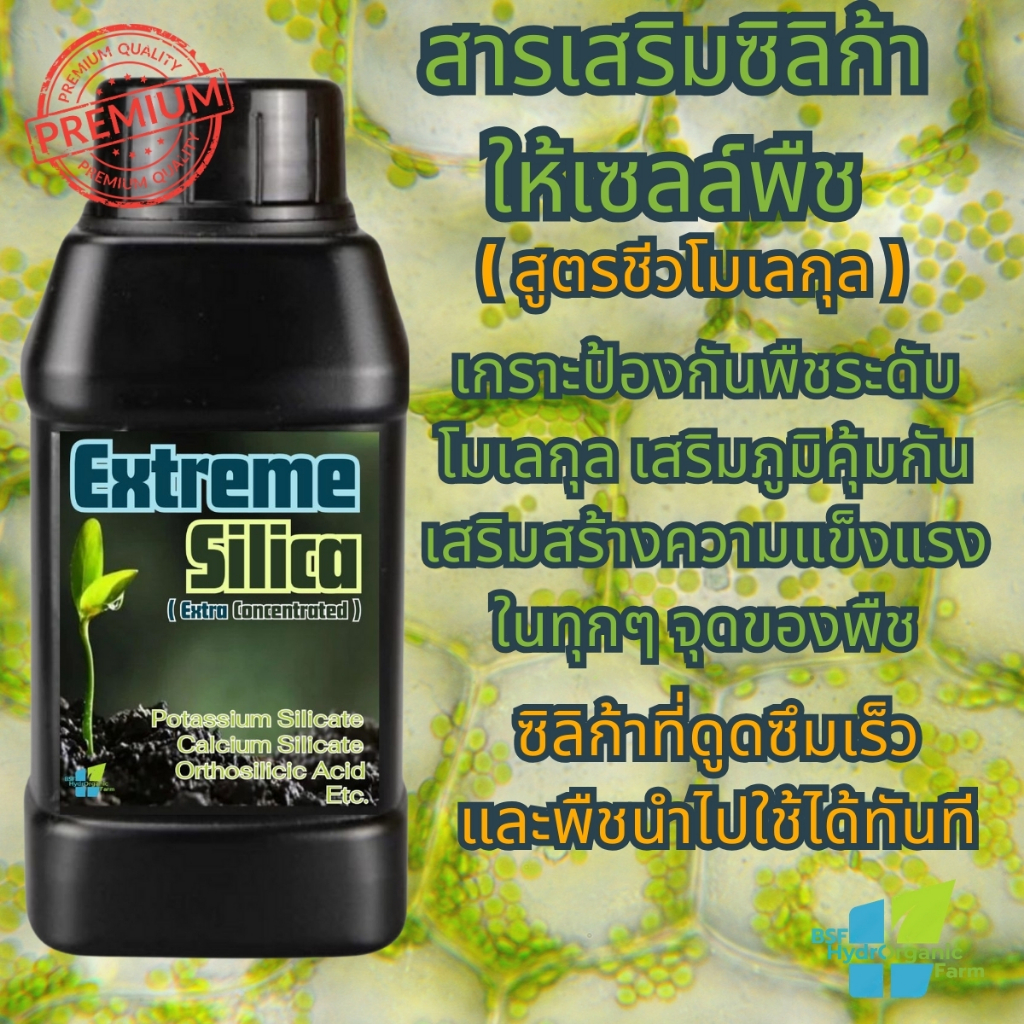 ซิลิก้าพืช ซิลิกอน สูตรเสริมในระดับชีวโมเลกุล  ซิลิก้าเข้มข้น สำหรับเสริมสร้างความแข็งแรงของพืช
