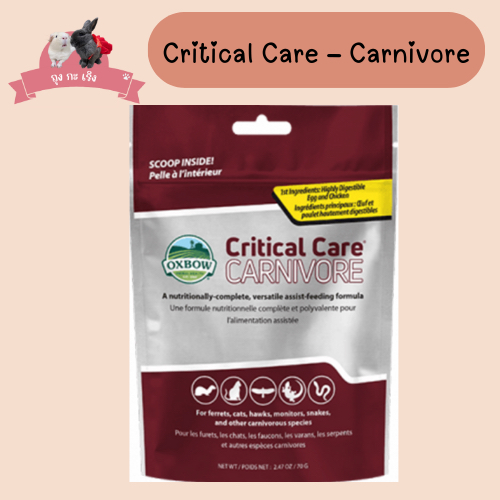 Oxbow Critical Care – Carnivore สำหรับสัตว์กินเนื้อ