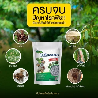 ไตรโคเดอร์ม่า เพิ่มเชื้อสองสายพันธุ์ กัปตันไตรโค ป้องกันเชื้อรา สูตรเข้มข้น แบบผง 100กรัม / 500กรัม