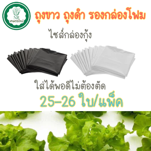 ถุงรองกล่องโฟม ถุงขาวรองกล่องโฟมปลูกผักไฮโดรโปนิกส์ ถุงรองกล่องกุ้ง (ใส่ได้พอดีไม่ต้องตัด)