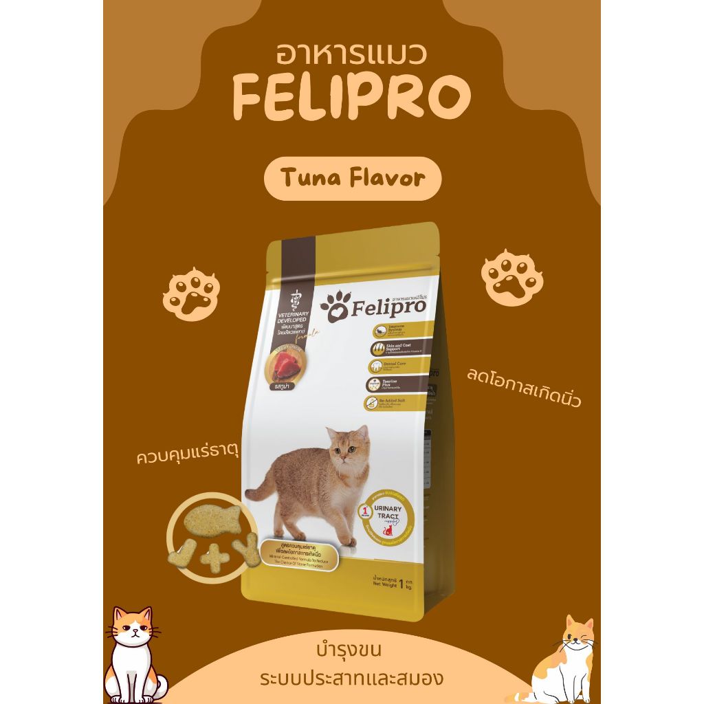 Felipro Tuna Flavor (รสทูน่า)
