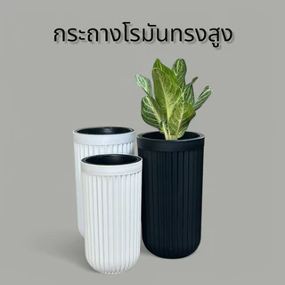 ‼️ถูก ส่งเร็วทันใจ‼️ กระถางโรมันทรงสูง กระถางพลาสติกทรงสูง