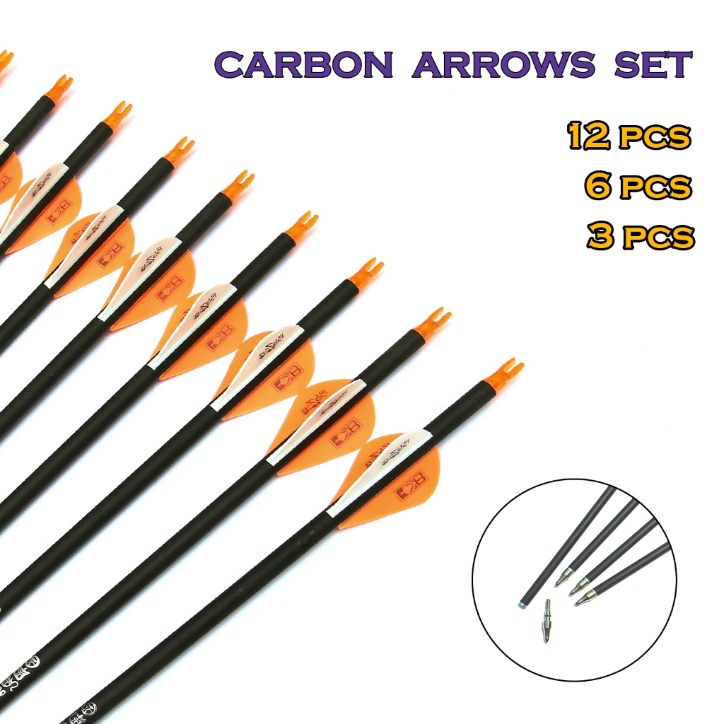 3 - 12 Pcs Mixed carbon Arrows set Spine 500 , 30 Inches Diameter 7.8 Removable Arrow heads with plastic Feather