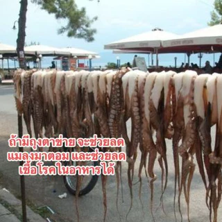 มุ้งตากอาหาร ผ้าตาข่ายสีขาว มี2ขนาด ให้เลือก พร้อมตีนตุ๊กแกกันแมลง 📨 พร้อมส่งในไทย