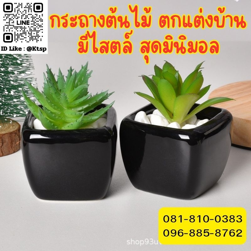 พร้อมส่งในไทย​ ต้นไม้ปลอม ต้นไม้​​กระถาง​ ประดับตกแต่ง มาพร้อมกระถางกระเบื้องเคลือบเงา