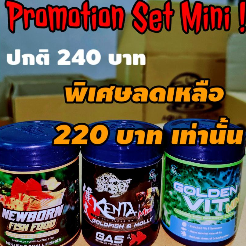Promotion Set Mini ครบสูตรสำหรับคนรักปลาบอลลูน และปลาปากเล็ก ขนาดย่อมเยาว์