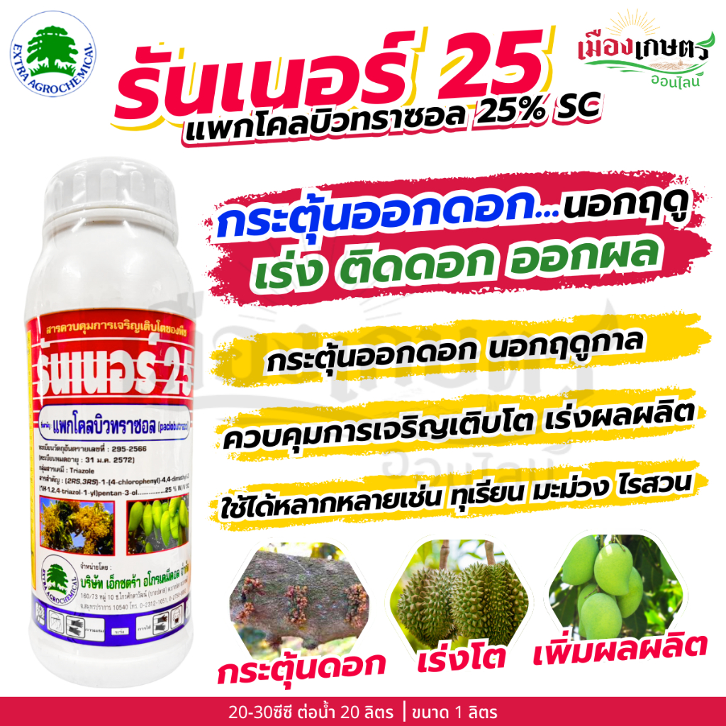 รันเนอร์ 25 แพคโคลบิวทราโซล 25% SC 1ลิตร ราดมะม่วง ทุเรียน สารควบคุมการเจริญเติบโตของพืช ใช้ทำไม้ผลนอกฤดู เอ็กซตร้า