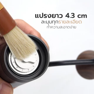Alechaung แปรงปัดผงกาแฟ ที่ปัดผง แปรงปัดกากกาแฟ แปลงไม้ปัดผง Coffee Brush หัวแปรง 360 องศา ขนแปรงแข็งแรง ไม่หลุดร่วง
