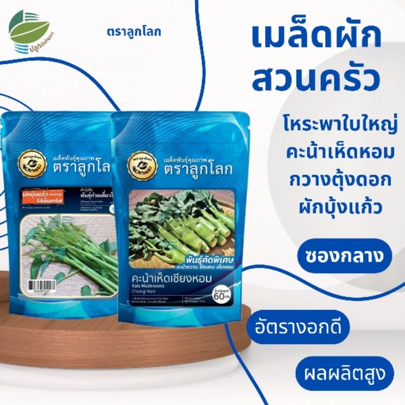 เมล็ดพันธุ์ ผักบุ้งแก้ว คะน้าเห็ดหอม โหระพาใบใหญ่ กวางตุ้งดอกฮ่องกง ต้นอ่อนบรอคโคลี กวางตุ้ง