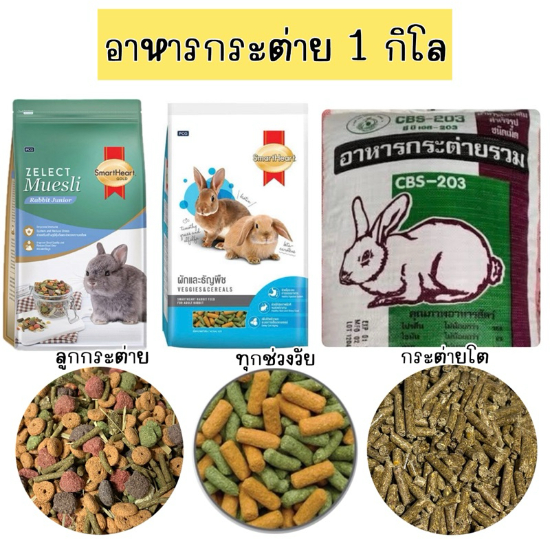 ส่งทุกวัน อาหารกระต่าย Smartheart แบ่ง1kg ✅อาหารกระต่ายเด็ก/โต แบ่งขาย อาหารสัตว์เล็ก พรีเมียม