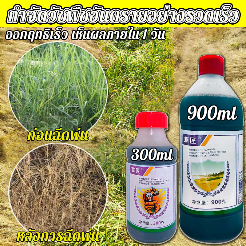 กำจัดวัชพืชปากแข็งโดยไม่ทำลายดิน ยา ยาฆ่าหญ้า ฆ่าหญ้าการ ช่วยให้หญ้าตายเร็วขึ้น ยาฆ่าหญ้า สารกำจัดวัชพืชในนาข้า