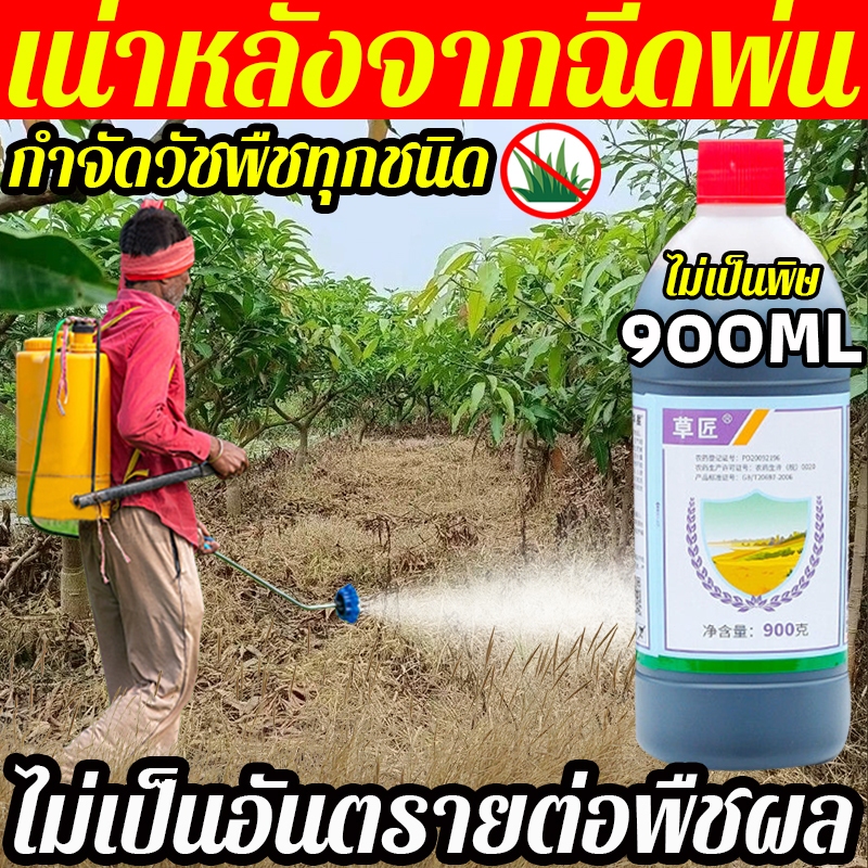 กำจัดวัชพืชปากแข็งโดยไม่ทำลายดิน ยา ยาฆ่าหญ้า ฆ่าหญ้าการ ช่วยให้หญ้าตายเร็วขึ้น ยาฆ่าหญ้า สารกำจัดวัชพืชในนาข้า