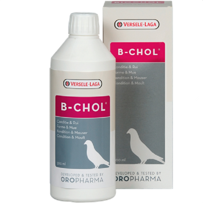 B-CHOL (500 ml.) ฟอกเลือด บำรุงตับ นกทุกสายพันธุ์