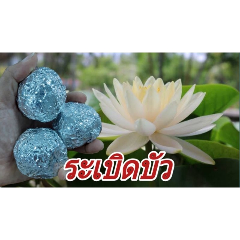 ปุ๋ยระเบิด บัวงาม น้ำใส