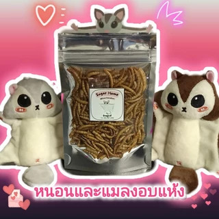 หนอนและแมลงอบแห้ง (ถุงซีลซิปล็อก)