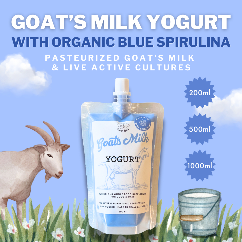 โยเกิร์ตนมแพะสาหร่ายสไปรูลิน่าสีฟ้า Bella's Bites Goat's Milk Yogurt with Blue Spirulina