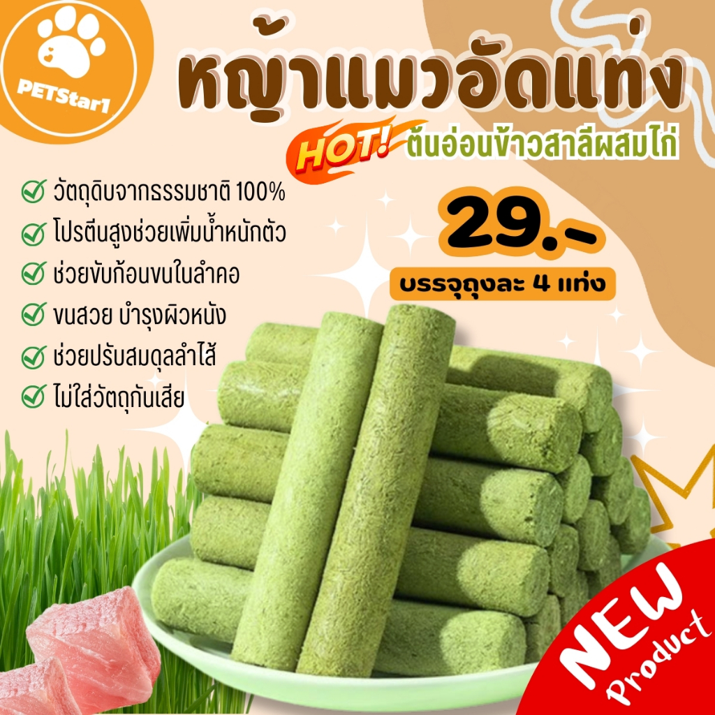 🥇หญ้าแมว🥇หญ้าแมวอัดแท่งหญ้าแมวฟรีซดราย ทำจากต้นอ่อนข้าวสาลีผสมอกไก่และแซลม่อน ขนมแมว ช่วยสำรอกก้อนขน ช่วยขัดฟัน เพื่อกำจ