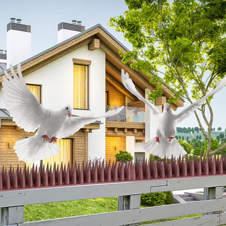 ที่กันนก หนามไล่นกพิราบ หนามกันนก หนามนก อุปกรณ์ไล่นก ไล่แมว หนามกันนกเกาะ bird thorn