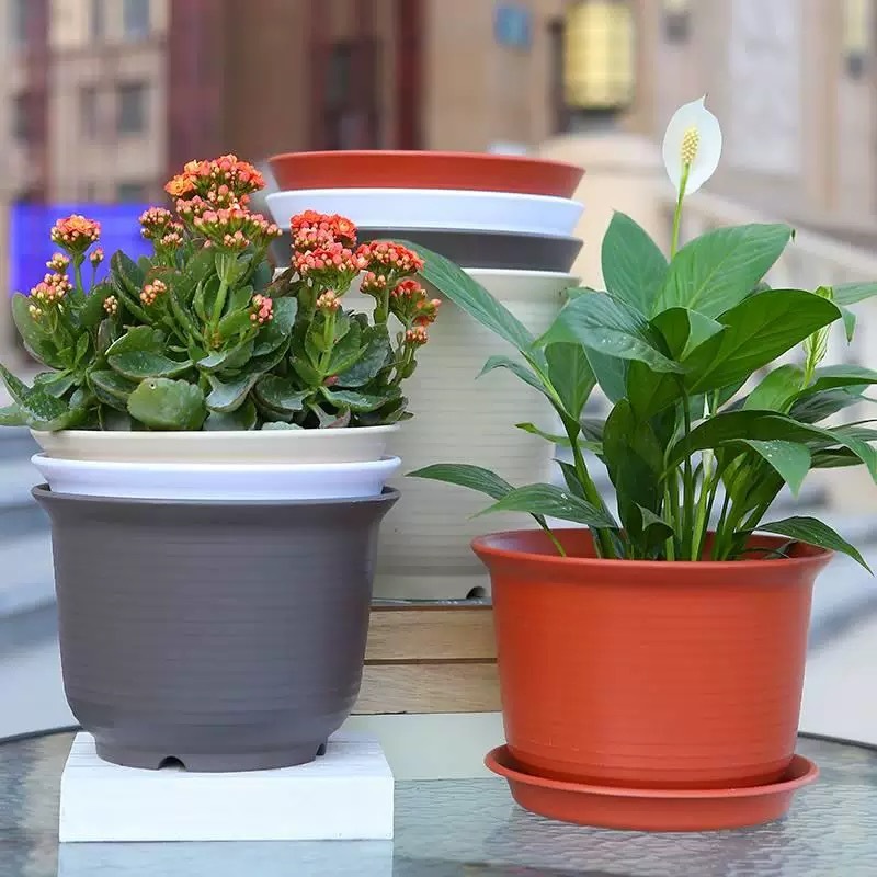 กระถางแคคตัส กระถางต้นไม้ พร้อมจานรอง กระถางต้นไม้พลาสติก ทรงกลมมน  สำหรับปลูก แคคตัส กระบองเพชร ไม้อวบน้ำ