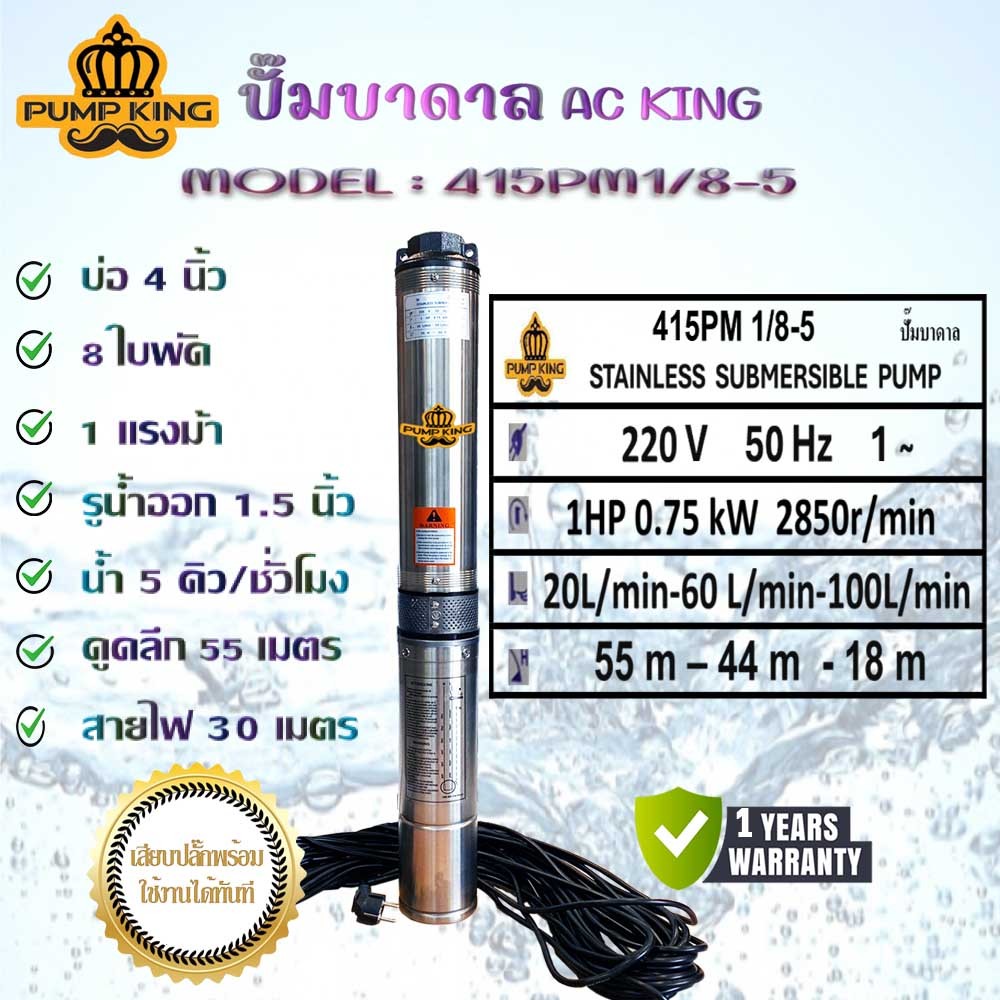 ปั๊มบาดาล KING บ่อ 4 นิ้ว รุ่น 415PM1/8-5