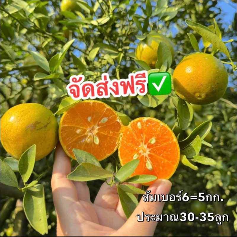 รูปภาพ 2