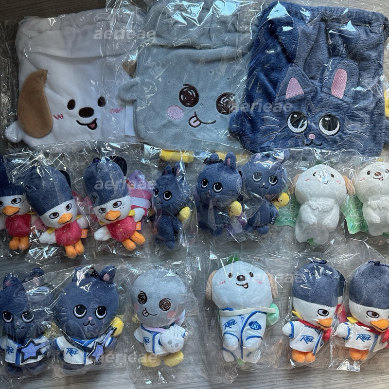 [ส่งฟรี พร้อมส่ง] we little riize pop-up ตุ๊กตา 10cm / 8cm / pouch