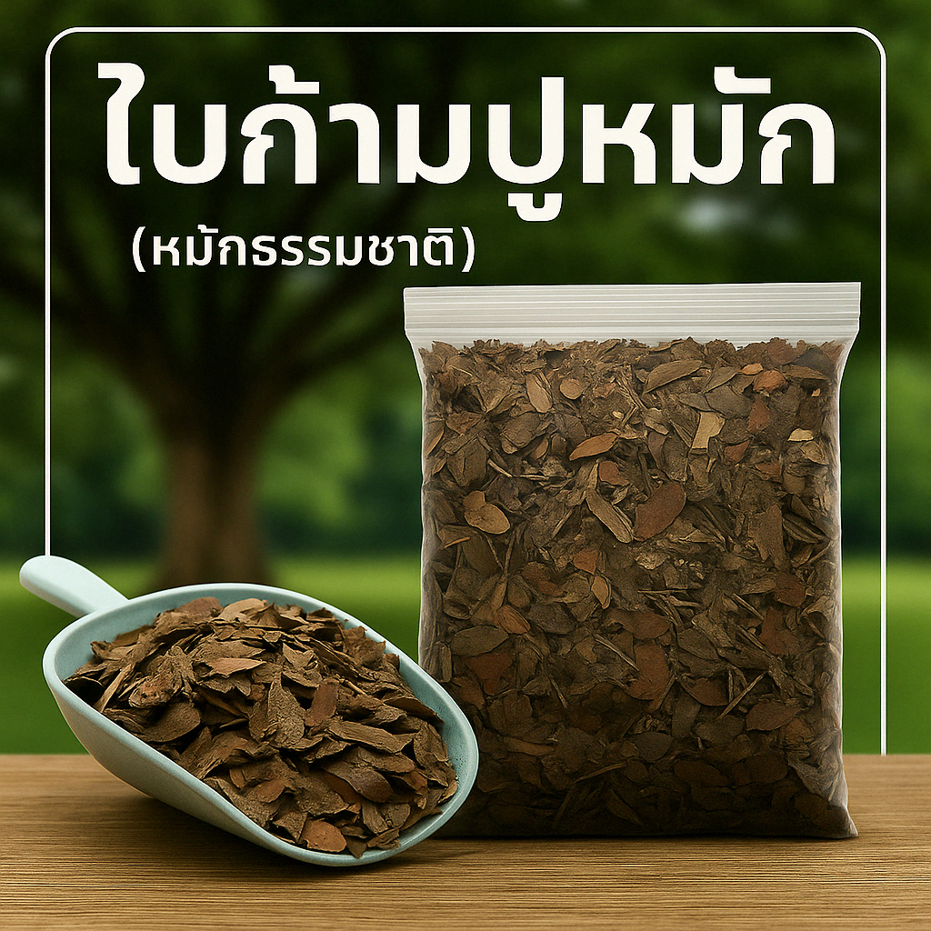 (2ถุง50)(ส่งฟรีทักแชท)ใบก้ามปูหมัก ใบไม้ไม้หมัก ธรรมชาติ 1KG. ไนโครเจนสูง เพิ่มความร่วนซุย หมักแล้วพร้อมใช้