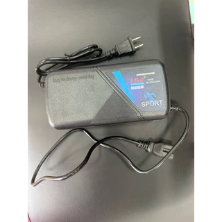 สายชาร์จรถไฟฟ้าLion Sagasonic 3ล้อไฟฟ้า 48V 20AH สายชาร์จสามล้อไฟฟ้า สายชาร์จแบตเตอรี่