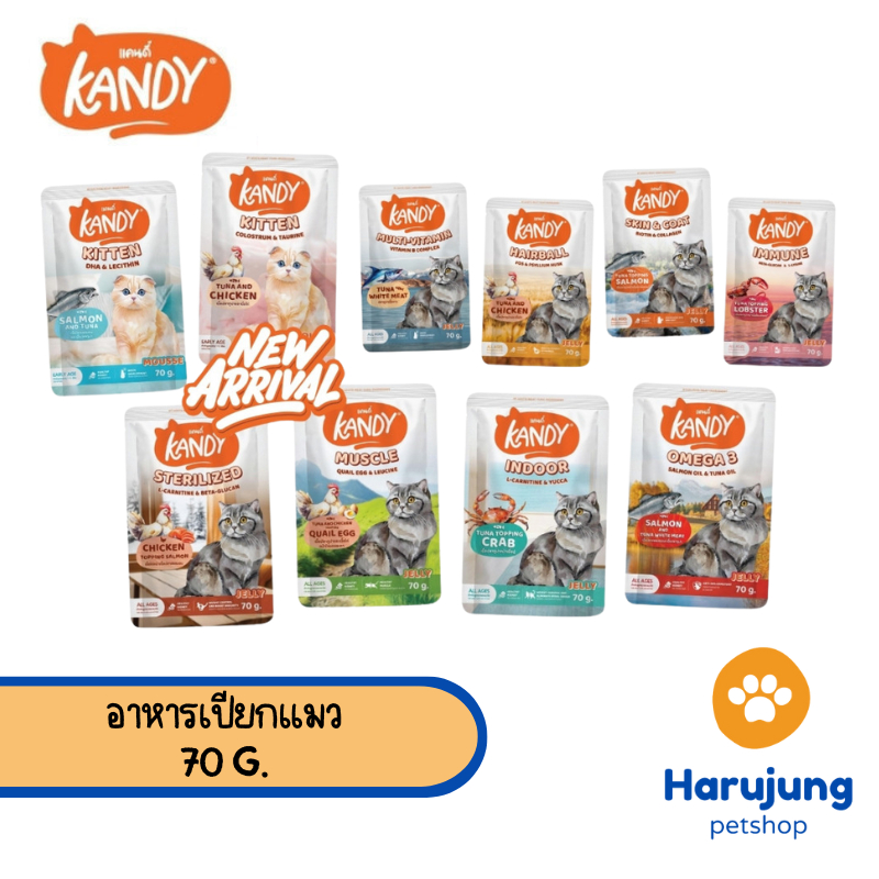 Kandy แคนดี้ อาหารเปียกแมว ไม่ใส่เกลือ ผลิตจากปลาเนื้อขาว ขนาด 70 กรัม