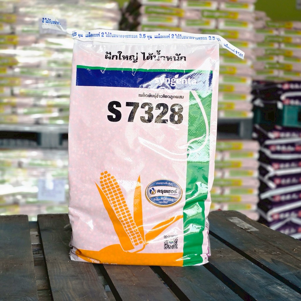 ข้าวโพดเลี้ยงสัตว์ เอ็นเค s 7328  3.5 หุน 10 kg. (ข้าวโพด เมล็ดพันธุ์ผัก เมล็ดพันธุ์พืช )