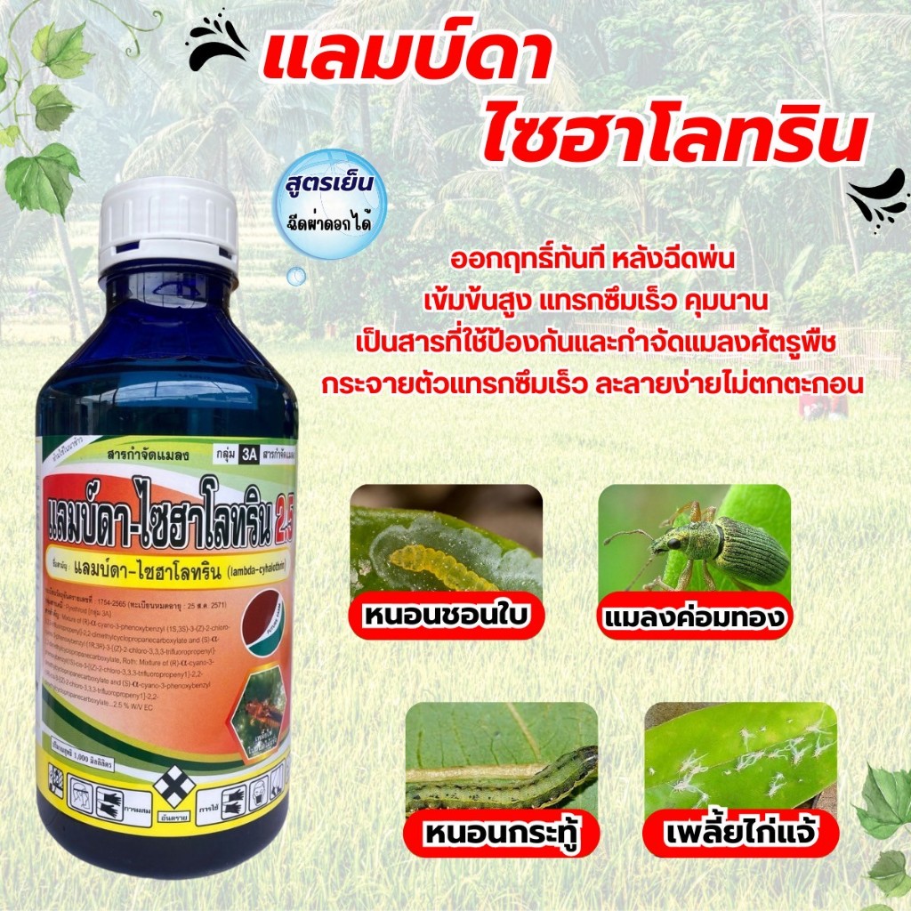 แลมบ์ดา-ไซฮาโลทริน 2.5% W/V EC แลมดาส้ม แลมด้า กำจัดเพลีย หนอน หวี่ขาว สูตรเย็นฉีดผ่าดอกได้