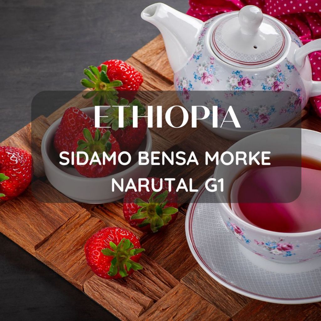 สารเมล็ดกาแฟ Ethiopia Sidamo Bensa Morke Narutal G1